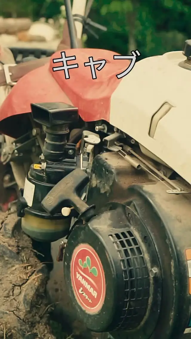 Carb Clean Revival | Tiller Maintenance #3
耕運機のキャブ掃除

Cleaned the carb,
and the engine breathed again.
Small fixes, quiet miracles.

調子の悪くなった耕運機。
キャブレターのオーバーホールの前に、このジェットを掃除するとほぼ直る。
使用環境的にいろんなものが詰まりやすいんでしょうね。

#tiller #carbclean #DIYr #farmlife #耕運機 #キャブレター #山暮らし #homesteadlife #自給自足 #田舎暮らし #メンテナンス
