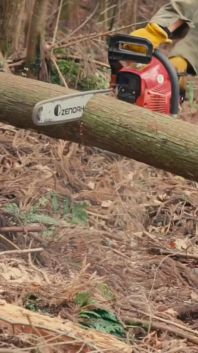 Forest thinning day.
Thinned trees become firewood and DIY materials.
Nothing goes to waste — everything returns to daily life.

森の手入れ
間伐した木は、薪やDIYの材に

続きが気になったら保存

#forestcare #homesteadlife #slowliving
#森づくり #山暮らし #森のある暮らし