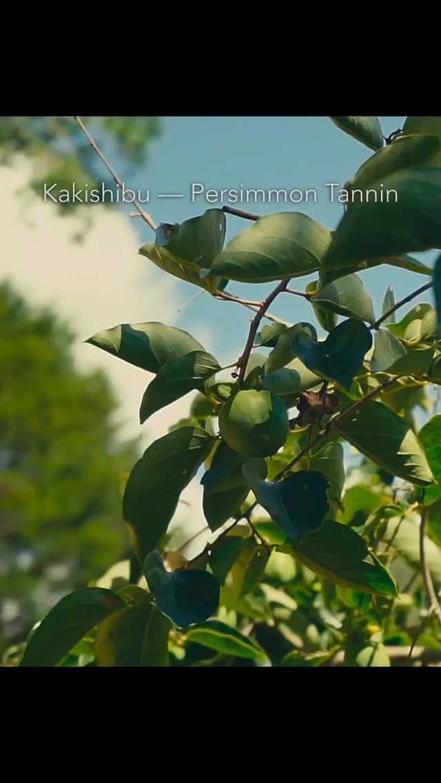 Preparing kakishibu—persimmon tannin.
It takes at least two years to mature.

柿渋の仕込み。熟成させるので、できあがるのは2年後

#homesteadlife #山暮らし #kakishibu #persimmon #柿渋