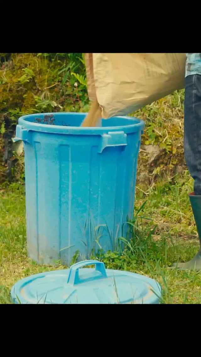 Rapeseed Cake — Fermented Fertilizer

Fermented fertilizer from rapeseed cake.
Called bokashi. Ferments in about two weeks.

菜種油粕を発酵させた肥料（ぼかし）。
発酵はだいたい2週間。よく効くけど、匂いは強め。

#homesteadlife #山暮らし #森暮らし #organicgardening #家庭菜園