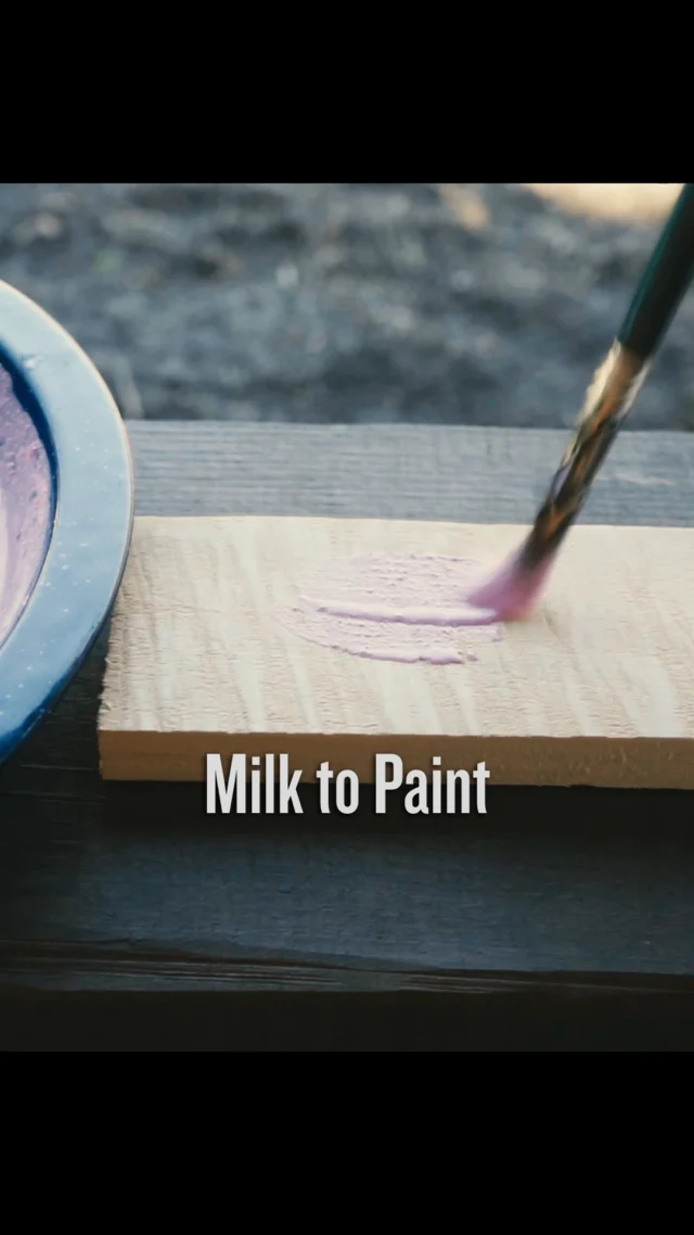 DIY Milk Paint
ミルクペイント作り

#homestead #cabinlife  #田舎暮らし  #ミルクペイント #diy