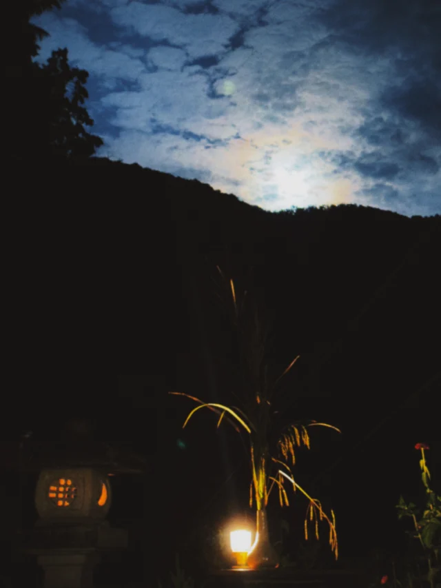 十五夜に団子を作ったりススキを飾ったりなどした

#十五夜 #秋 #中秋の名月 #harvestmoon #homestead